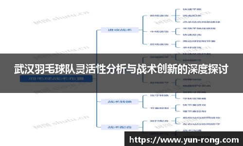 武汉羽毛球队灵活性分析与战术创新的深度探讨